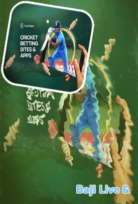 Baji online cricket betting app